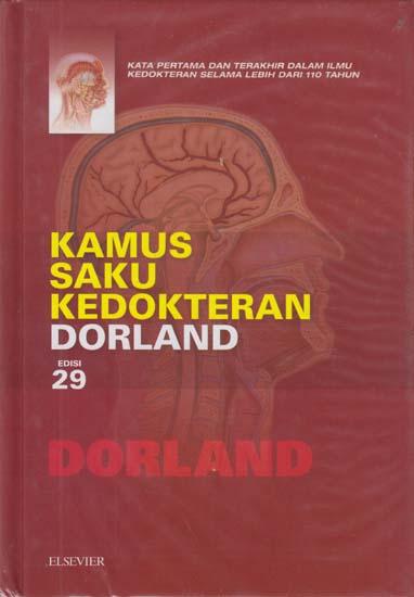 Konsep Kebidanan