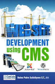 Website development using CMS