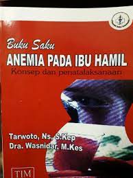 Buku saku anemia pada ibu hamil : konsep dan penatalaksanaan