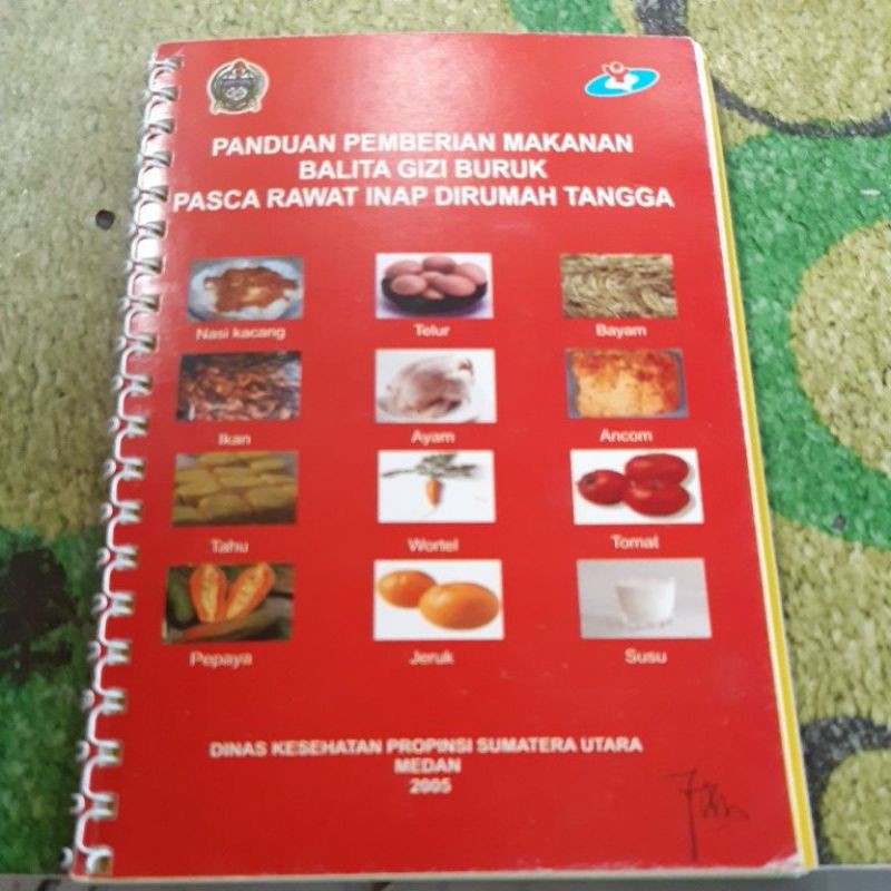 Panduan Pemberian Makanan Balita Gizi Buruk Pasca Rawat Inap Di Rumah Tangga