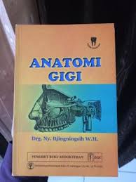 anatomi gigi